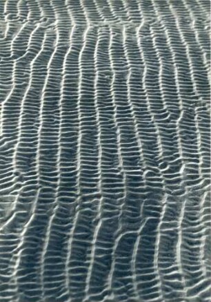 Strukturen im Sandboden, Watt