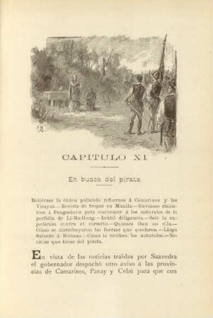 Capitulo XI. En busca del pirata