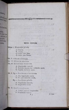 Index Iconum