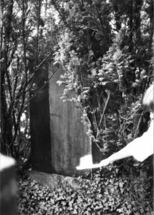 Grabstein 38 (Index: 99804425) Material: Granit Zustand: ohne Inschrift Maße HxBxT: 205x107x22 cm Beschreibung: ädikulaartige Stele, giebelartiger Abschluß: Grabstein 38