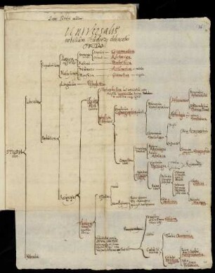 Universalis nobilium studiorum delineatus ordo