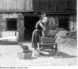 Bauernhof. Ansicht mit Bäuerin und Karren
