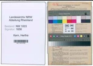 Entnazifizierung Hertha Kern , geb. 01.11.1907 (Arbeitsvermittlerin)
