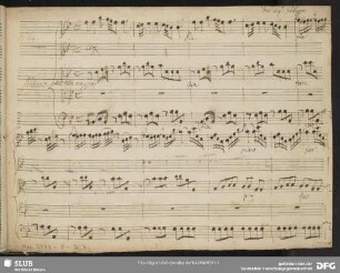Argenide. Excerpts - Mus.2973-F-36,7 : A, strings, bc