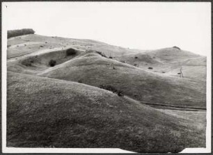 Hügellandschaft auf Hiddensee