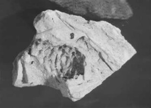 Steinblock aus der Rheinsohle