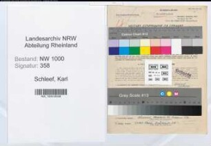 Entnazifizierung Karl Schleef, geb. 08.06.1917 (Angestellter)