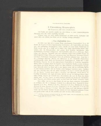 I. Unterordnung Hexasterophora.