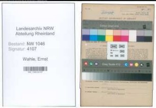 Entnazifizierung Ernst Wahle , geb. 16.07.1903 (Landwirt)