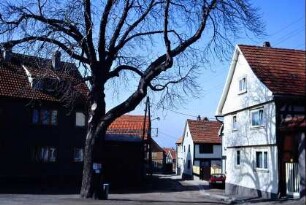 Straßengabelung, Baum und Häuser