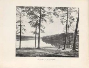 Grunewald. Am Schlachtensee