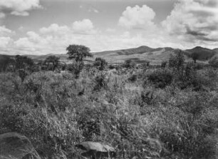Hügellandschaft : Blick über eine Hügellandschaft in der Region Arusha in Tansania