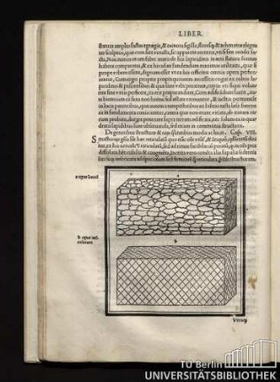 De generibus structurae & ea[rum] q[ua]litatibus modis ac locis. Cap[ut]. VIII.