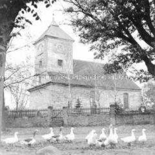 Leben in Zabelsdorf (Kr. Gransee): Die Wehrkirche mit Gänsen