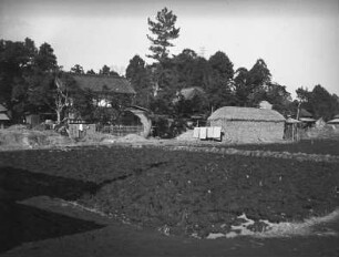 Dorf bei Naruto : Blick über ein Feld