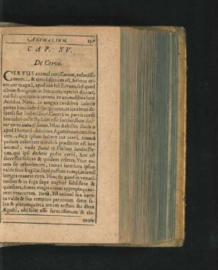 Cap. XV. De Cervo.