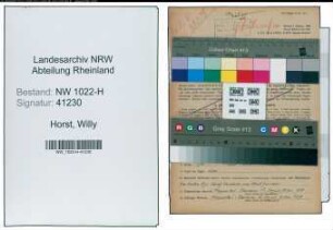 Entnazifizierung Willy Von Der Horst , geb. 22.07.1900 (Schlosser)