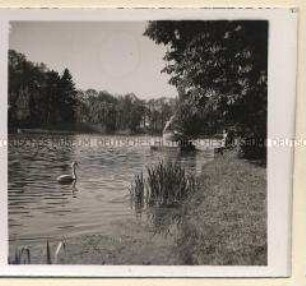Schwetzingen, See im Schlosspark