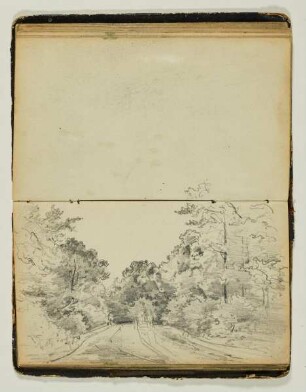 Waldweg