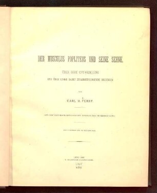 Der Musculus popliteus und seine Sehne