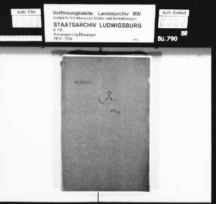 Ausländer, Einzelfälle (Buchstabe Z)