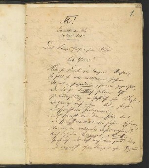 1-161 mit ungezählten Blättern und Lücken; vorwiegend Schriftstückzählung, Gazette du Roi