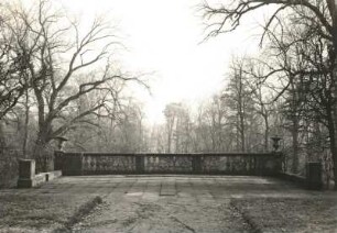 Dahlen. Ehemaliges Schloß. Balustrade auf Plattform vor dem Gartensaal, Durchblick verwachsen. Zustand 1954