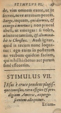 Stimulus VII.