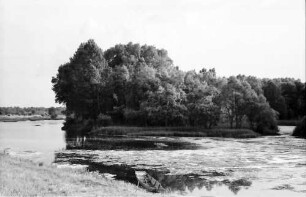 Wittenweier: Altrhein