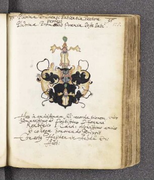 Ernestus Hayden. – Incipit: Plurima Prudenti Patientia Pectore perfert. – o.O., 1595