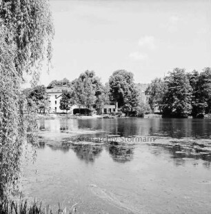 Mühlenteich: Blick von Süden Am Mühlenteich auf gegenüberliegendes Ufer: hinten links zwischen Bäumen Elektriziätswerk Reinbek-Wentorf GmbH [später: e-werk Sachsenwald]: hinten rechts Schloss Reinbek: vorn links Baum