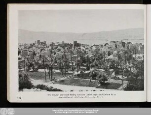 124. Tinghir am Oued Todra,
