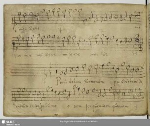Gallus, Iacobus: Providebam Dominum
