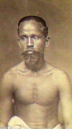 Singhalese, Kuli