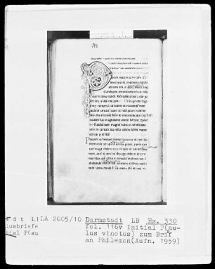 Paulus Apostolus, Epistulae cum glossis — Initiale P (aulus), Folio 116 verso