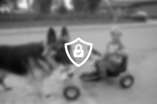 Kind auf Gokart mit Schäferhund auf Gehweg: hinten Zaun, Auffahrt mit Pkw und Wohnhaus