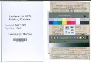 Entnazifizierung Therese Haverkamp , geb. 02.07.1903 (Lehrerin)