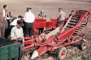 Fotografie: Kartoffel, Erntetechnik, Kartoffelsammelroder, Arbeitsplatz, Handarbeit