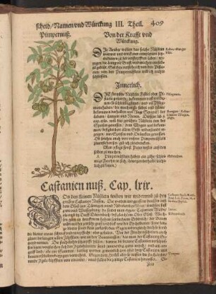 Castaniennuß, Cap. LXIX