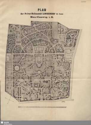 Plan der Privat-Heilanstalt Lindenhof (Dr. Pierson) Neu-Coswig i. S.
