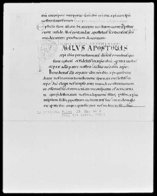Paulusbriefe — Initiale P(aulus apostolus), Folio 41verso