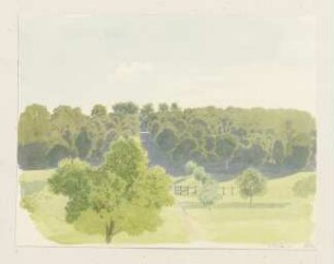 Landstraße zwischen Waldungen