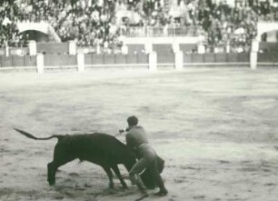 Reisefotos Spanien. Stierkampfszene