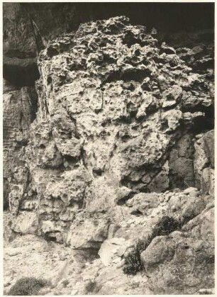 Sächsische Schweiz. Wand mit starken Verwitterungserscheinungen (Sandnester, Sanduhren, Waben,Klüfte). Kleiner Zschirnstein, Hangweg