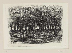 Allee I