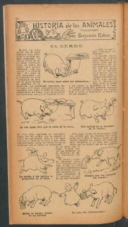 El cerdo : Historia de los animales