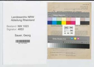 Entnazifizierung Georg Sauer , geb. 21.12.1900 (Obersteuerinspektor)