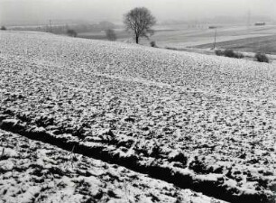 Winterlicher Acker