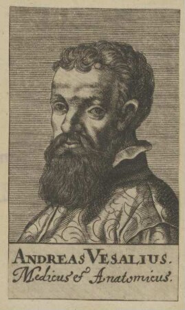 Bildnis des Andreas Vesalius