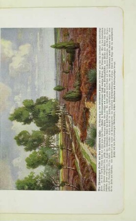 Die Lüneburger Heide an der mittleren Luhe